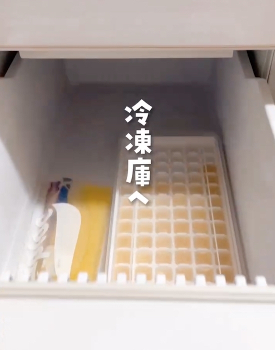 レモン汁は製氷皿で保存すると？　変化した姿に「コレすごい！」「感動した」