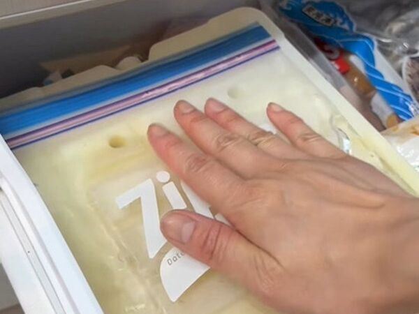 フリーザーバッグに水を入れて凍らせたら？　完成品に「便利すぎる」「知らなかった」