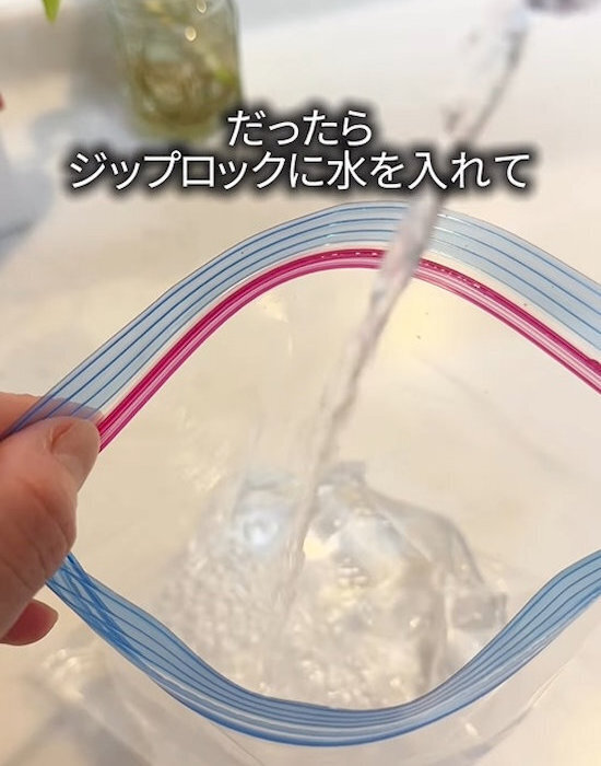 フリーザーバッグに水を入れて凍らせたら？　完成品に「便利すぎる」「知らなかった」