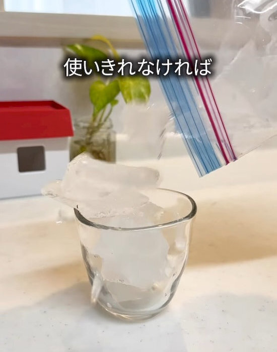 フリーザーバッグに水を入れて凍らせたら？　完成品に「便利すぎる」「知らなかった」