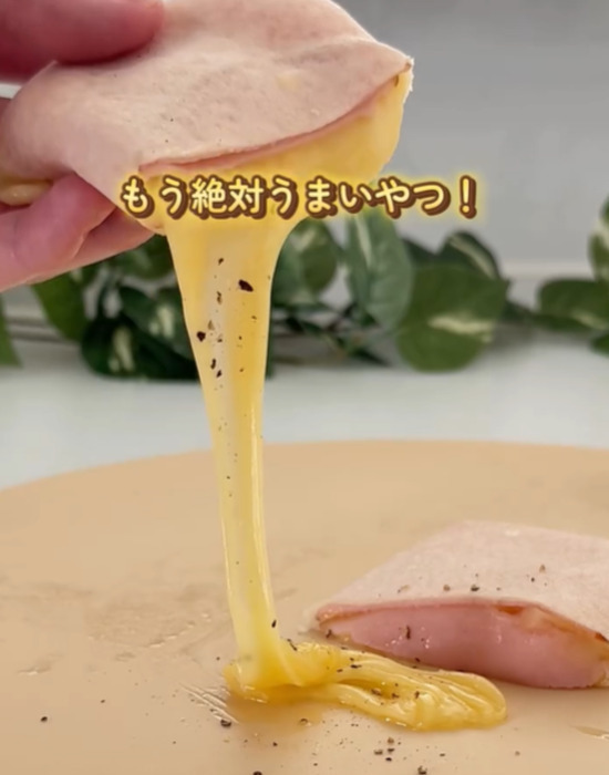 たった３つの材料で？　春巻きの皮の包み方に「その手があったか」「リピ決定」