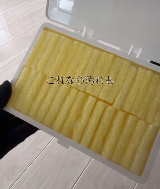 「トイレブラシは使いません」 １００円グッズの１分掃除術に「衛生的」「場所取らない」