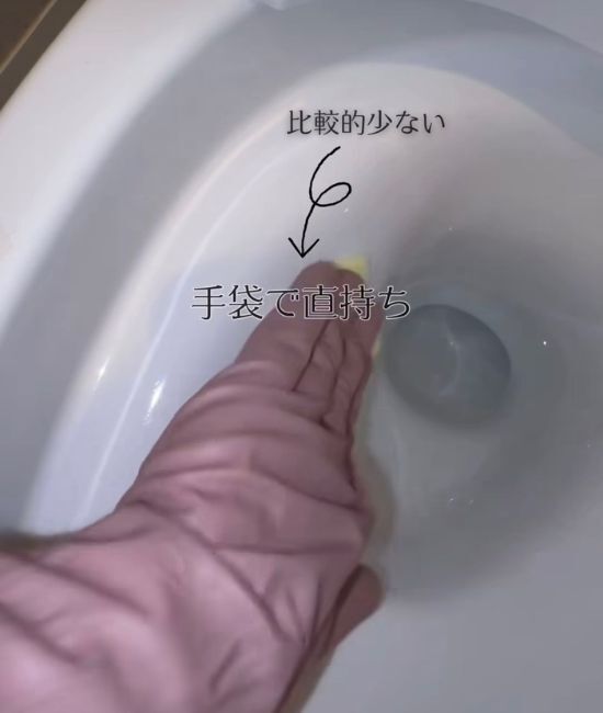「トイレブラシは使いません」 １００円グッズの１分掃除術に「衛生的」「場所取らない」