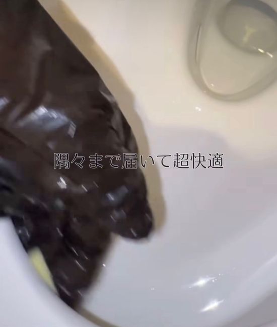 「トイレブラシは使いません」 １００円グッズの１分掃除術に「衛生的」「場所取らない」