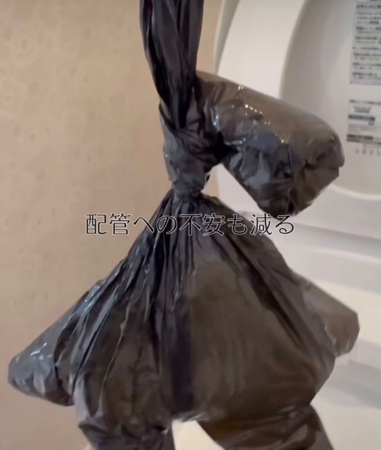 「トイレブラシは使いません」 １００円グッズの１分掃除術に「衛生的」「場所取らない」