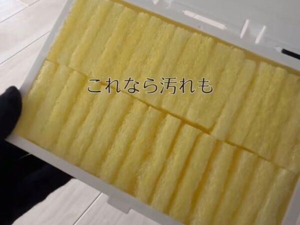 「トイレブラシは使いません」 １００円グッズの１分掃除術に「衛生的」「場所取らない」