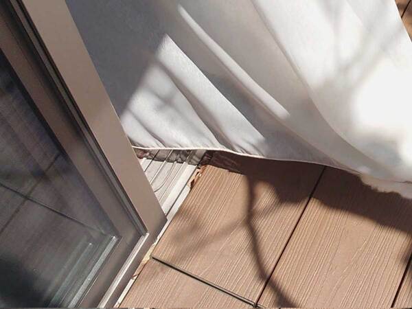 飼い主「爆誕しました！」　カーテンから生まれたのは？