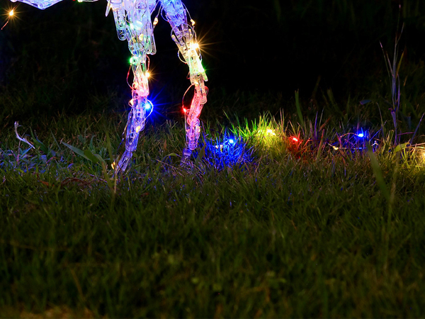 満月の夜に現れた『シカ』　美しすぎる１枚に「絵画かと思った」