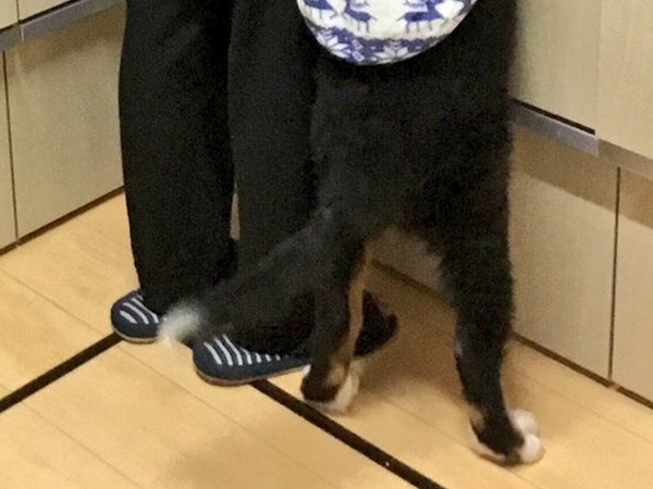 朝、キッチンに立っていたのは？　「ビビったわー！」「帰宅後の小３男児？」