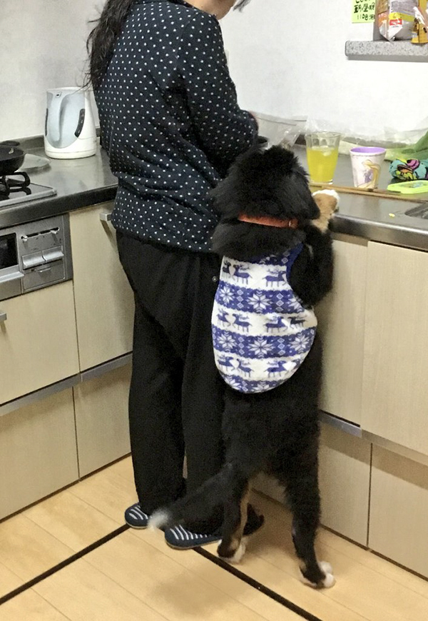 朝、キッチンに立っていたのは？　「ビビったわー！」「帰宅後の小３男児？」