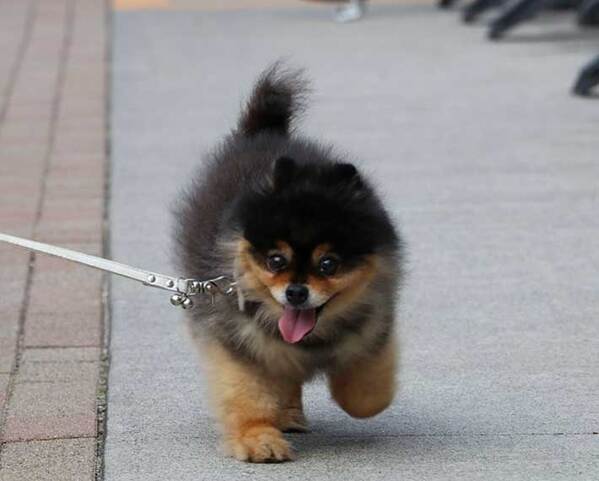 「脚が太いから大きくなるね」といわれたけど？　１枚に「笑った」「かわいすぎ」