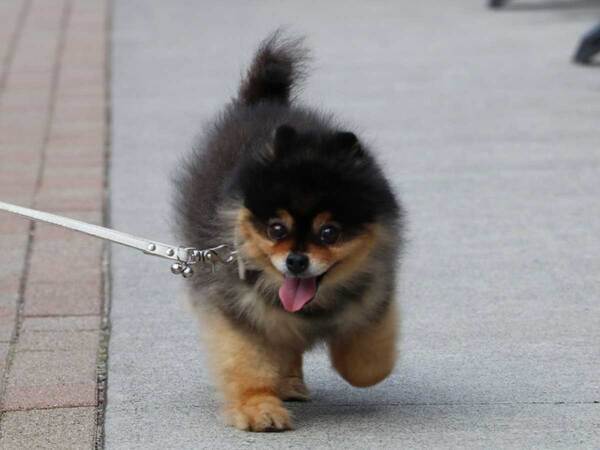 「脚が太いから大きくなるね」といわれたけど？　１枚に「笑った」「かわいすぎ」