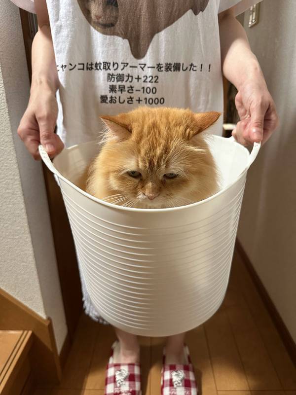 妻が洗濯をしようとしていたのは…　夫が見た光景に「情報量が多くて笑った」「表情が好き」