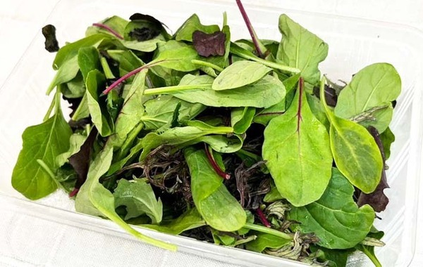 JAが教える！　ベビーリーフを長持ちさせる方法が「簡単だった」