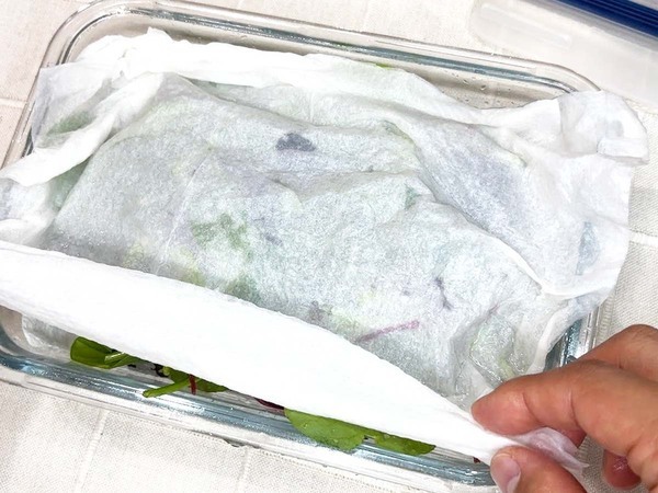 JAが教える！　ベビーリーフを長持ちさせる方法が「簡単だった」