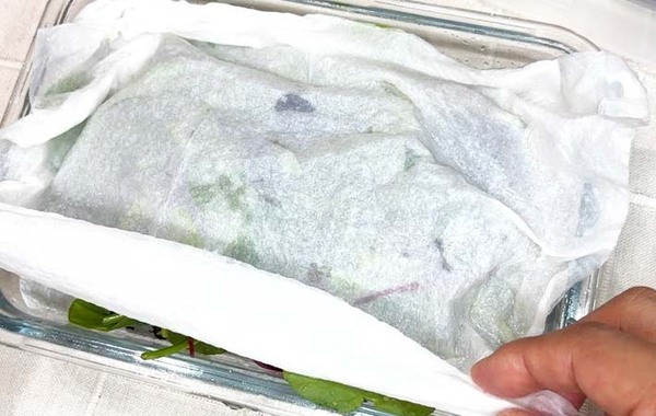 JAが教える！　ベビーリーフを長持ちさせる方法が「簡単だった」