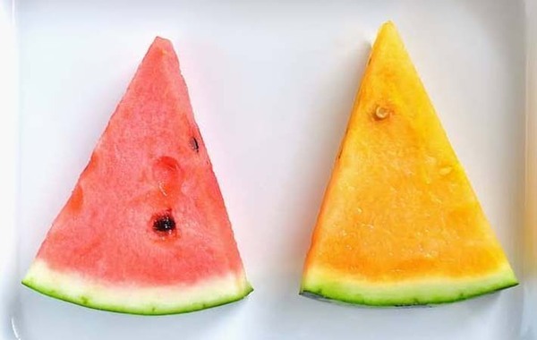【管理栄養士監修】赤と黄、どっちを選ぶ？　スイカの栄養価について解説！