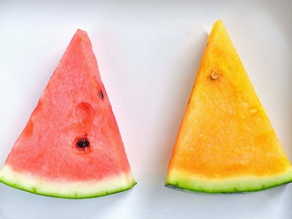 【管理栄養士監修】赤と黄、どっちを選ぶ？　スイカの栄養価について解説！