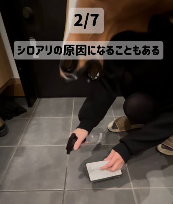 玄関掃除で水をまいていたら？　気付きにくいリスクに「ずっとやってた」