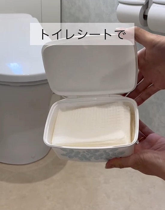 「ついで掃除」は危険！　トイレでやりがちなNG行動に要注意