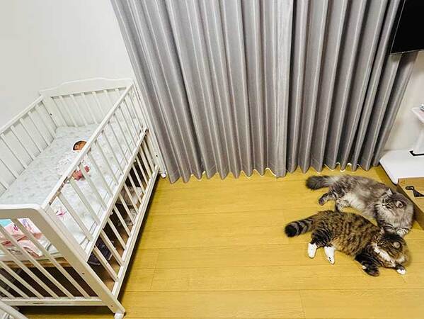 新生児を見つめていたのは…　１枚に「笑った」「絶妙な距離感」