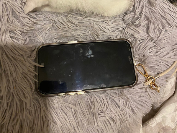 「新型のモバイルバッテリーかな」　生後１か月の子猫に「かわいすぎて変な声でた」