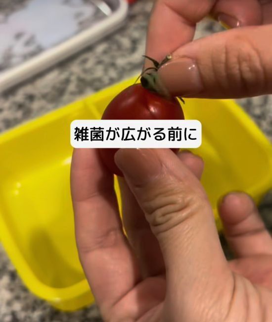 「ラップして冷蔵庫へ」　その習慣が危険？　食中毒につながるNG行動５選に「ギクッ」