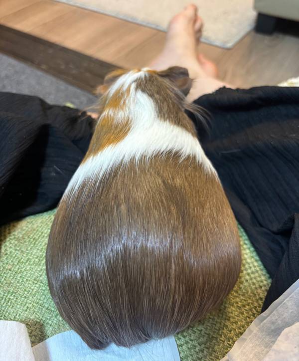 「このツヤツヤの尻を見てほしい」　写真に「混乱した」「人間…？」