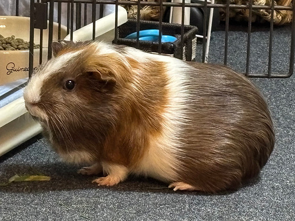 「このツヤツヤの尻を見てほしい」　写真に「混乱した」「人間…？」