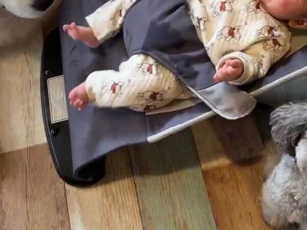 バウンサーにのる赤ちゃん　あやしているのは…「揺らすのうまい」「賢い」