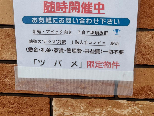 セブンを通りかかった２０代女性　貼り紙を見ると？「毎日通う」「シャレてるな」
