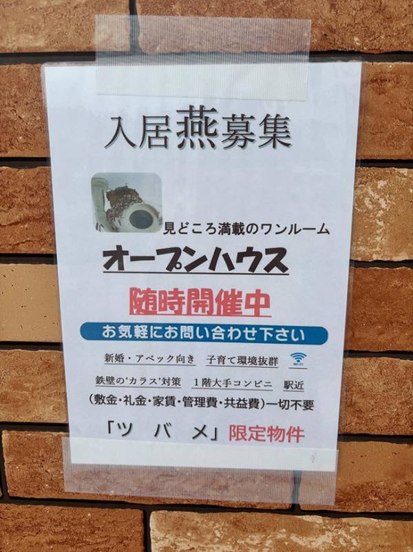 セブンを通りかかった２０代女性　貼り紙を見ると？「毎日通う」「シャレてるな」