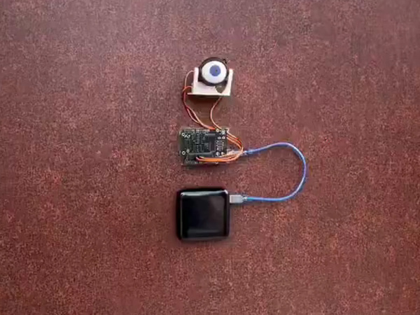 高校生が作った『目玉』　まさかの使い道に「最高すぎ」「欲しい！」