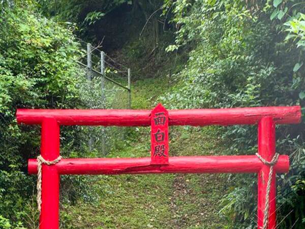 境内に置かれる塚　その歴史に「えげつないわ…」