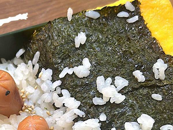 妻が夫に作った『玉子と海苔だけ弁当』　写真に「予想を上回った」「最高です」