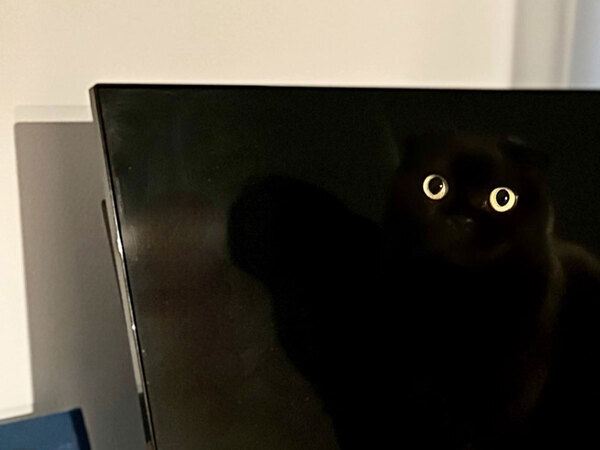 モニターに映し出された２つの目　よく見ると…？「悲鳴あげそう」「思わず二度見したわ」