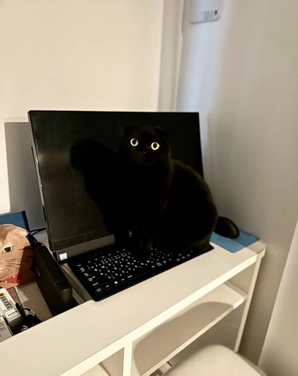 モニターに映し出された２つの目　よく見ると…？「悲鳴あげそう」「思わず二度見したわ」