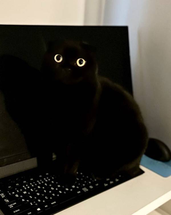 モニターに映し出された２つの目　よく見ると…？「悲鳴あげそう」「思わず二度見したわ」