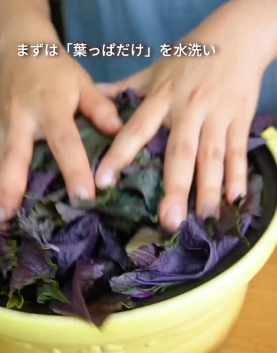 夏の定番にしたい！　赤シソジュースの作り方に「これは手作りしたくなる」「参考になる」