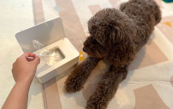 「このシンプルさがいいのよ」「思いついたもん勝ち」　無印の『白い箱』がとにかく使える