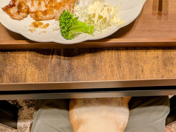 食事をしている最中、ヌッと現れたのは？　「かわいすぎるだろ」「クセが強い」