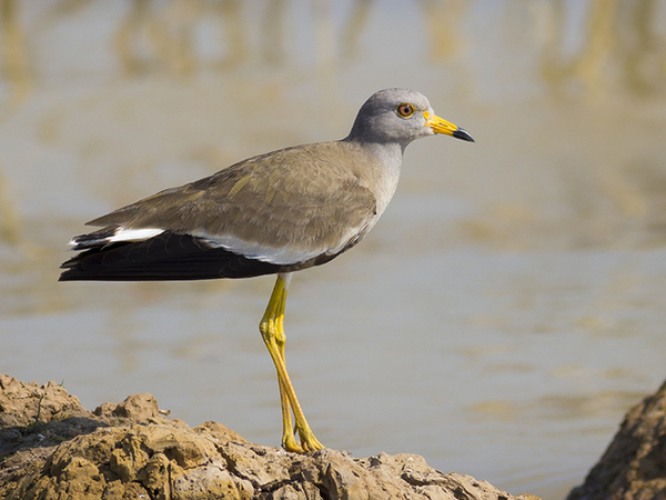 「この看板、初見では読めないと思う」　道路標識に「読めるかー！」「知らなかった」