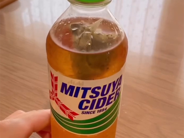 サイダーに入れたのは…　意外なアイディアに「おいしそう」「やったことない！」