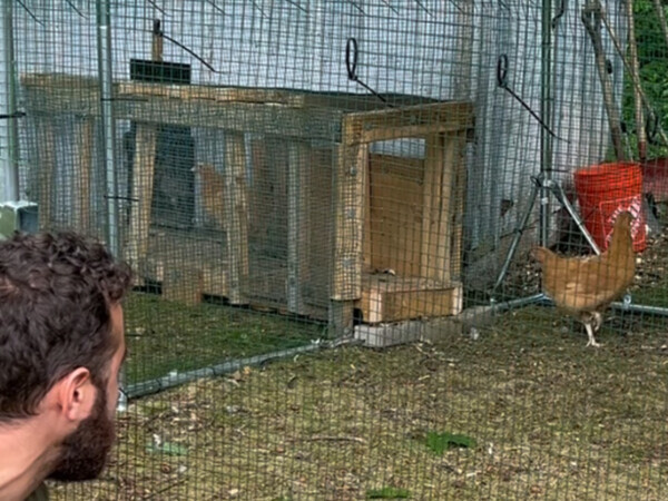 ニワトリに話しかける男性　その後の展開に「すごい！」「犬みたい」