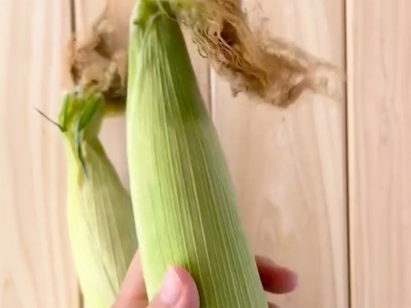 トウモロコシを電子レンジで加熱するなら…　企業のコツに「おいしくなりそう！」