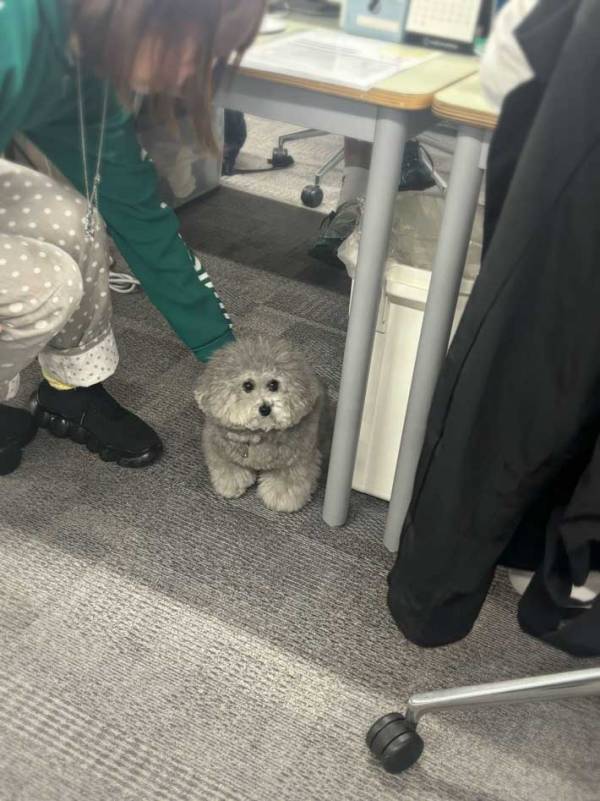 「怒られた時の避難場所」　社員の姿に「声出た」「何しちゃったの～？」