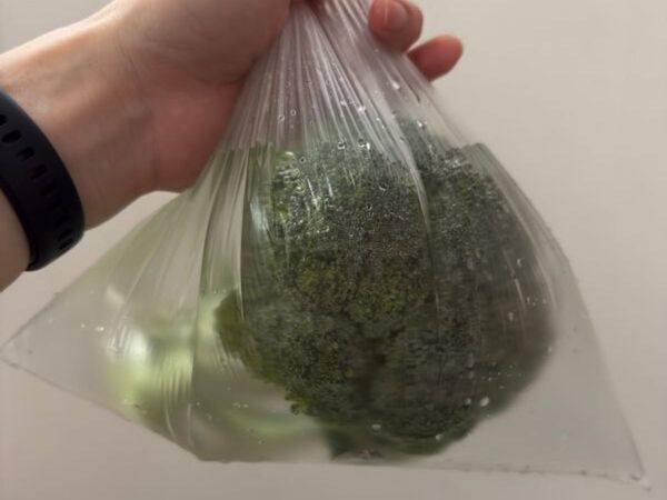 ポリ袋にブロッコリーを入れて？　意外な洗い方に「超合理的」「真似したい」