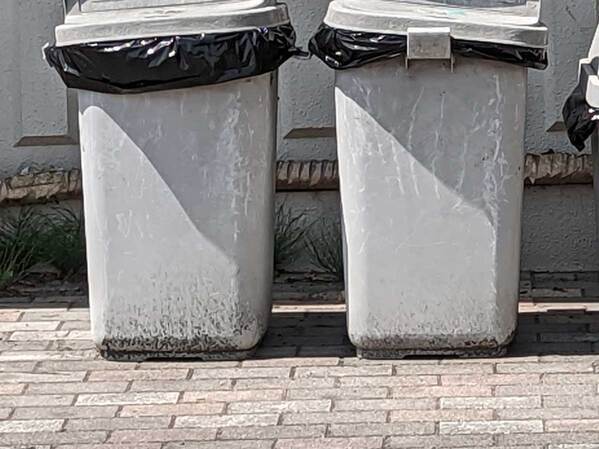 なんの変哲もないゴミ箱　よーく見ると…？「個性が強くて笑った」「感性が素敵」