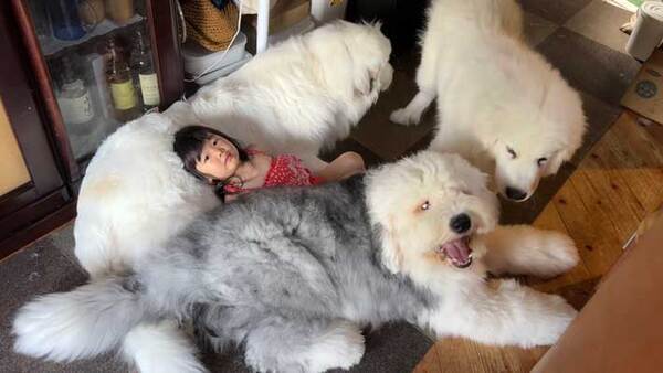 寝そべる３歳の娘　その周りにいたのが？「もののけ姫の世界観」「夢のような生活」