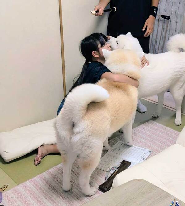 リコーダーを練習する娘　その後の光景に「なんて幸せな世界なんだ」